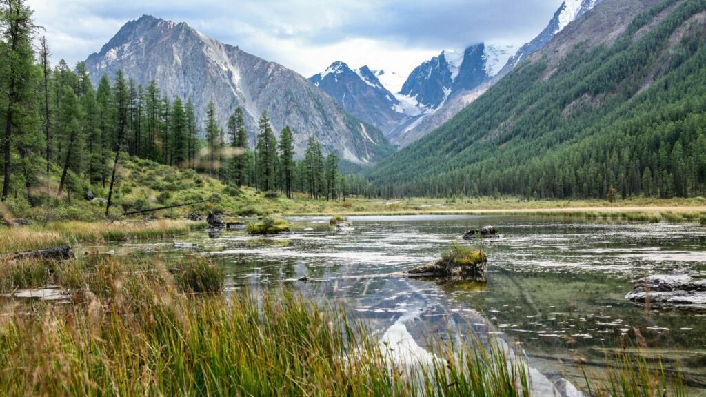 A história humana foi reescrita há 2 milhões de anos quando nossos ancestrais escolheram um lugar inesperado para viver