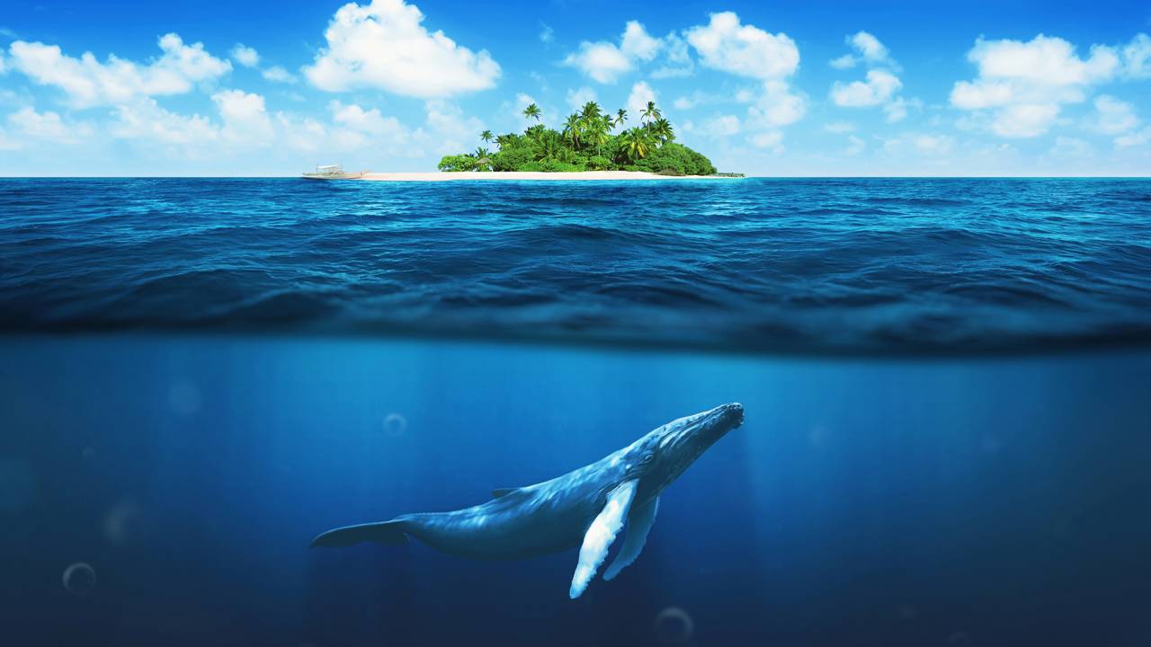 A maior ‘corrida armamentista’ da natureza se desenrola no oceano profundo