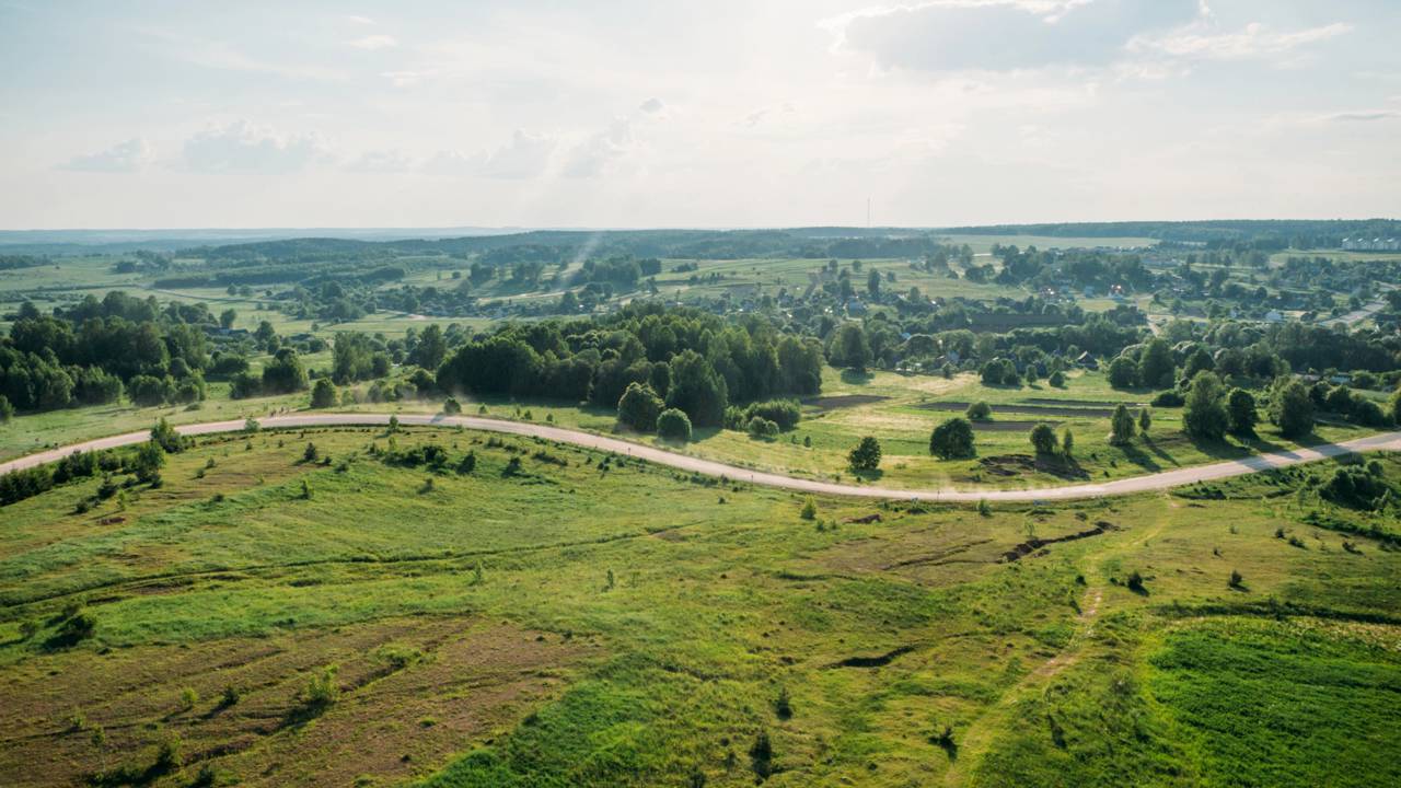Construíram um muro no meio da floresta mais antiga da Europa