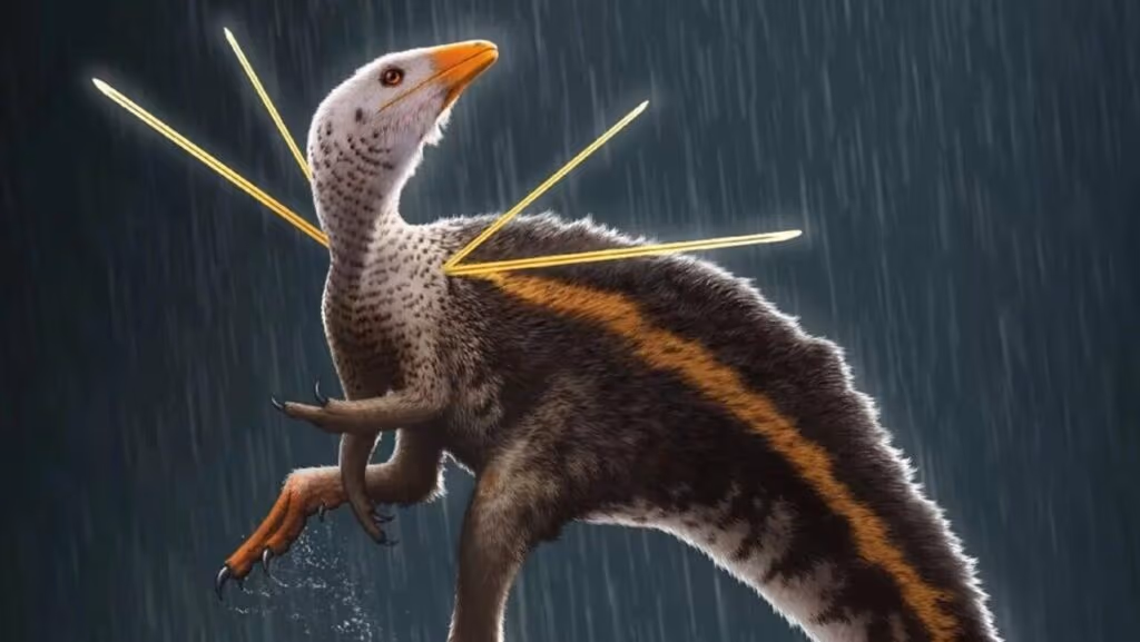 Paleontólogos brasileiros encontram fóssil de dinossauro com penas no Ceará