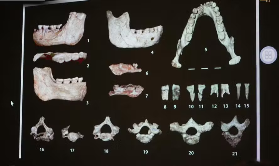 Fóssil de 773 mil anos descoberto no Marrocos pode revelar nova origem da linhagem humana