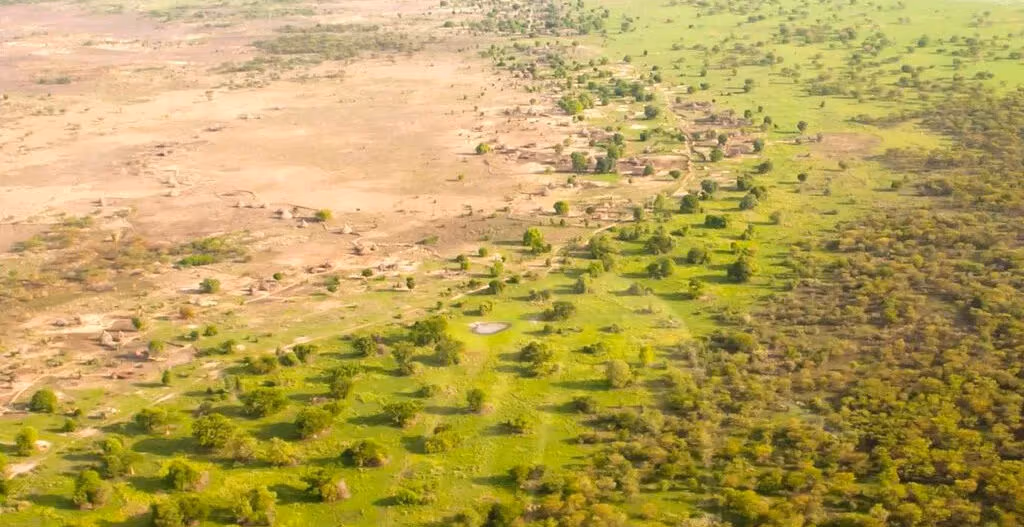 O que é a Grande Muralha Verde do Deserto do Saara que age como uma poderosa barreira de vegetação na África