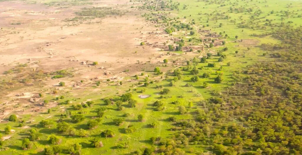 O que é a Grande Muralha Verde do Deserto do Saara que age como uma poderosa barreira de vegetação na África