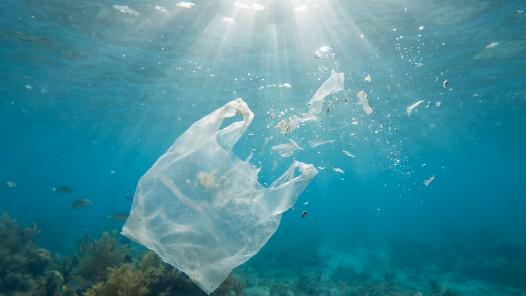 Japão quebra o paradigma da poluição ambiental com criação de plástico vegetal que dissolve no mar em poucas horas