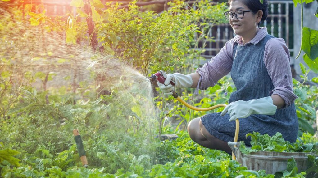 Lei obriga todas os moradores dessa cidade a ter uma horta em casa