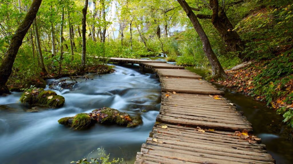 Limparam uma fonte de água nas montanhas e reviveram o aquário filtrado