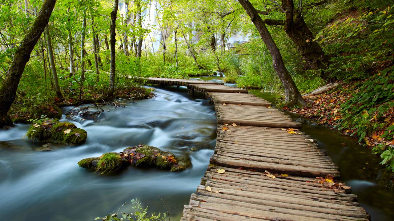 Limparam uma fonte de água nas montanhas e reviveram o aquário filtrado