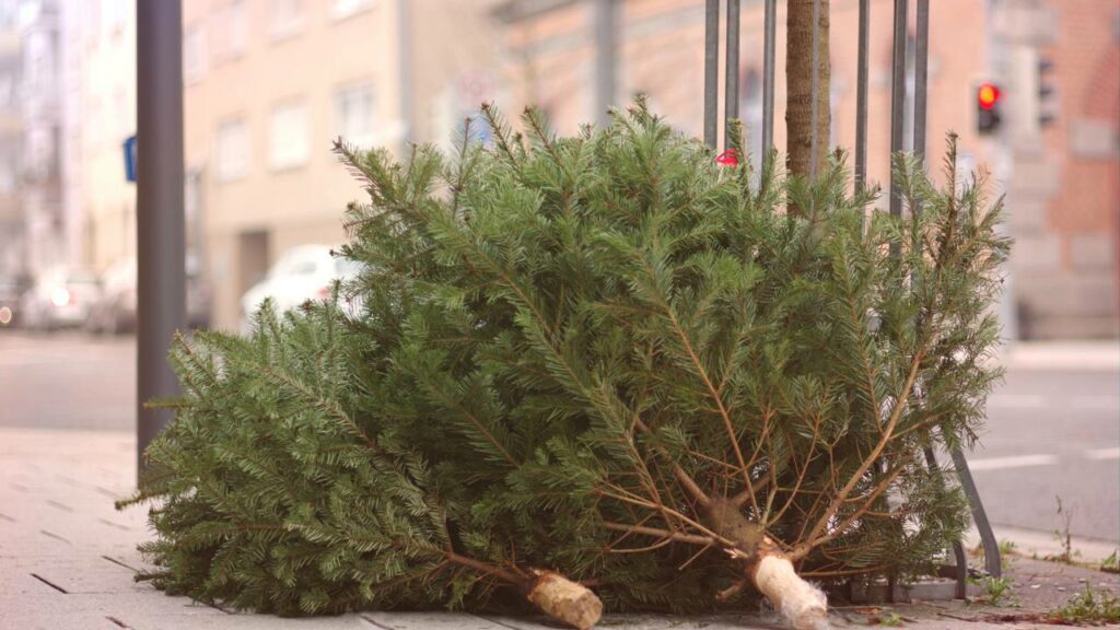 Nova lei de limpeza aplica penalidades severas para quem sujar as vias públicas