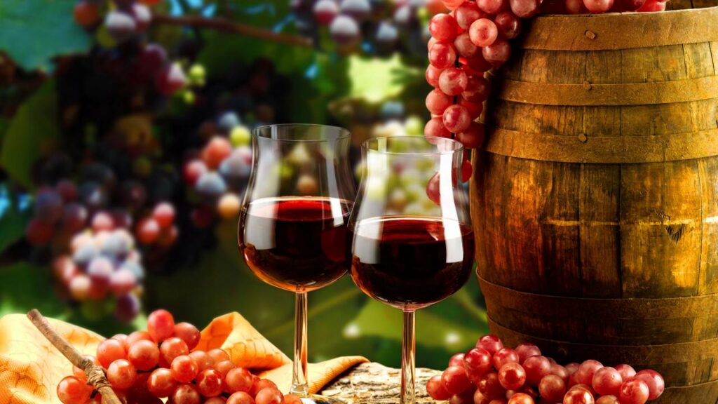 O milagre do vinho chileno no deserto mais seco do mundo