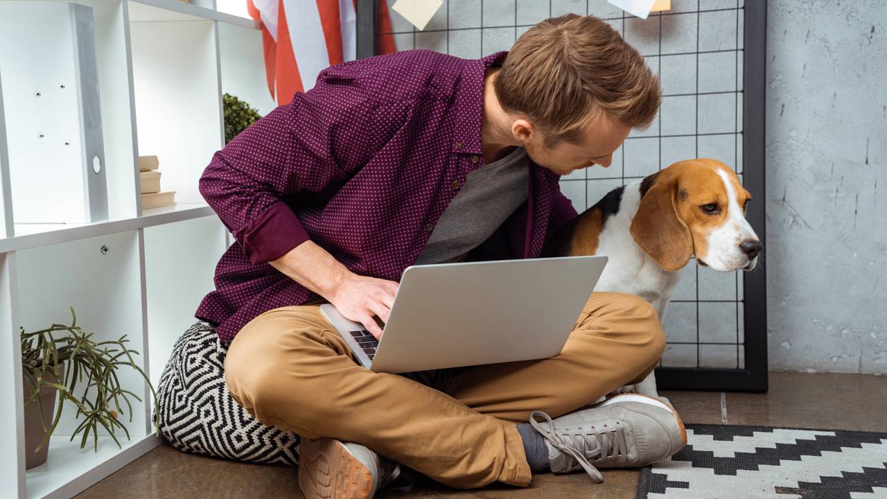 O que significa conversar com animais de estimação como se fossem pessoas, segundo a psicologia