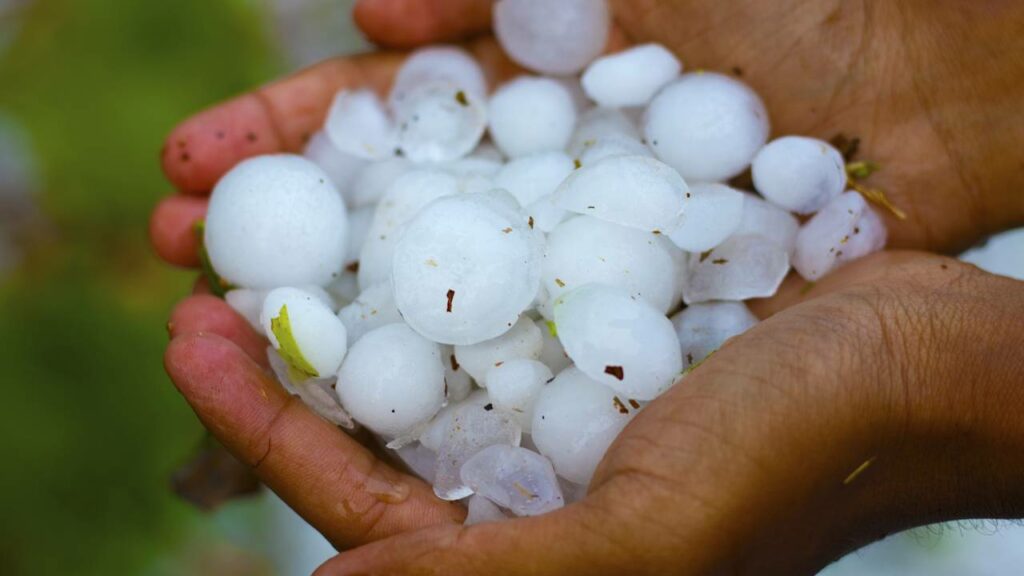 Parece mentira mas choveu granizo no sertão pernambucano