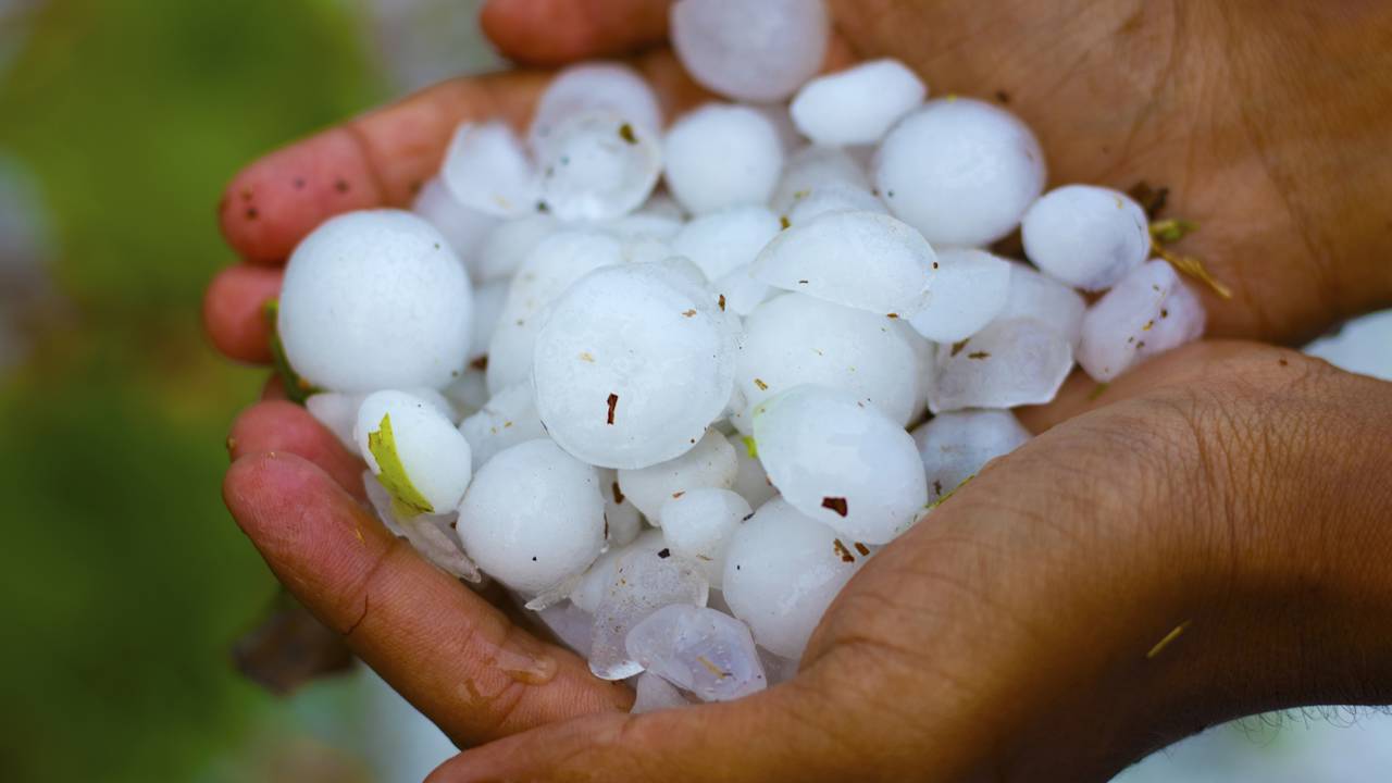 Parece mentira mas choveu granizo no sertão pernambucano