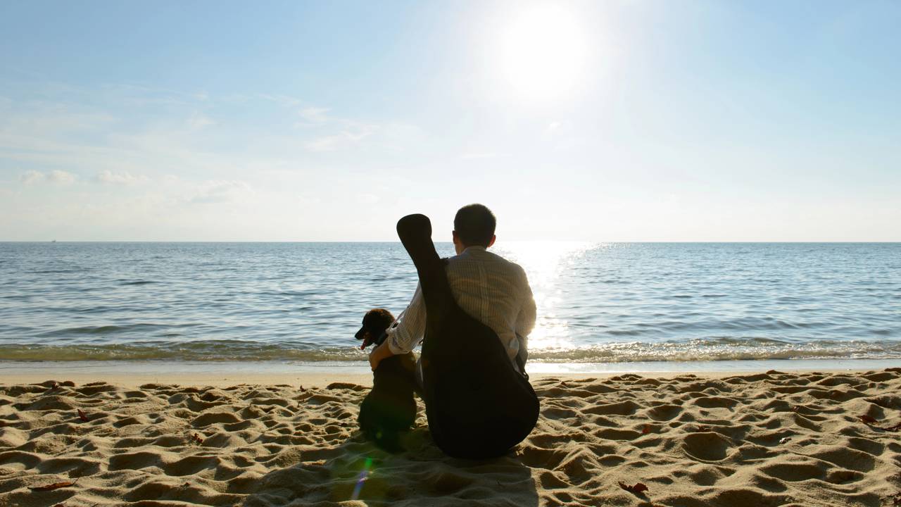 Se você tem poucos ou nenhum amigo, provavelmente possui essas características raras e peculiares