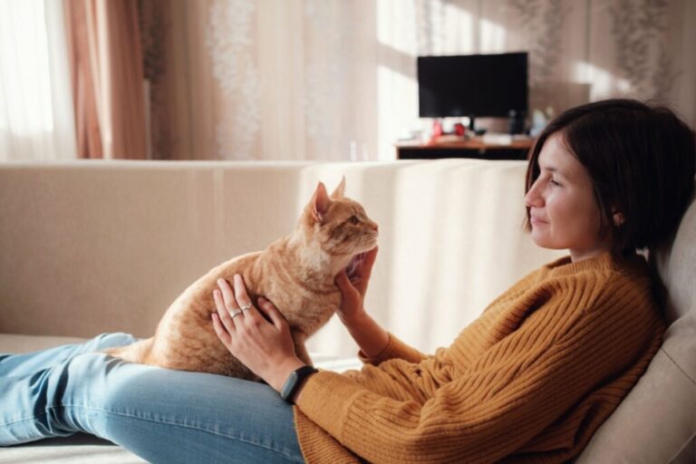 Seu gato gosta de miar? Confira 10 nomes que combinam com ele