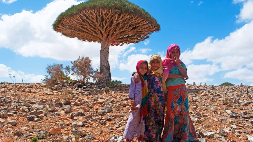Socotra, o “planeta paralelo” que existe de verdade