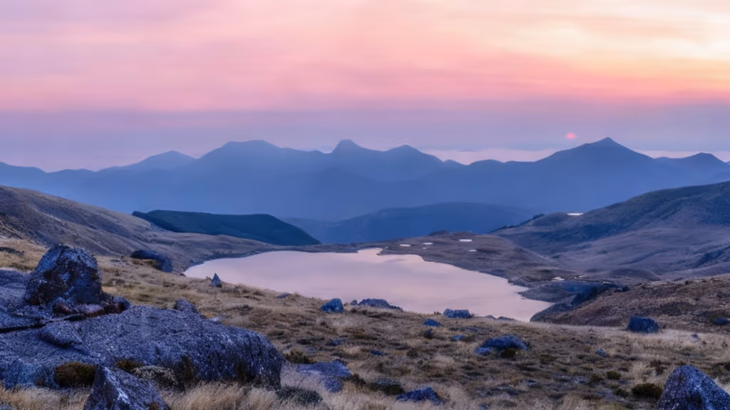 Turista de 66 anos desaparecido na Nova Zelândia é encontrado 2 semanas após o fim das buscas
