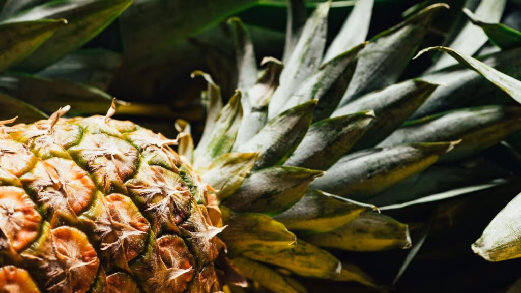 Você nunca mais vai jogar casca de abacaxi no lixo depois de ver isso