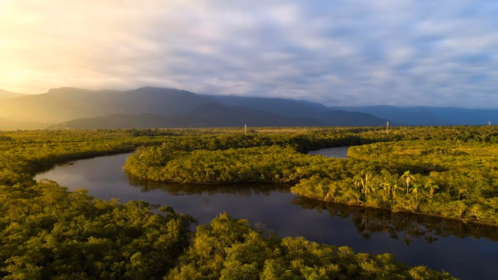 Rio Amazonas não está sozinho, descoberta revela um “oceano oculto” embaixo da floresta