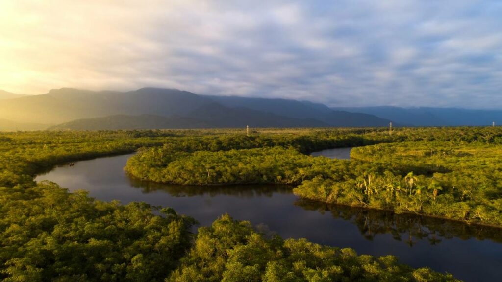 Rio Amazonas não está sozinho, descoberta revela um “oceano oculto” embaixo da floresta