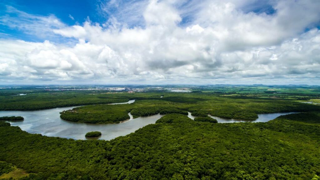 Descoberta de cerâmica na Amazônia que pode reescrever milênios de história