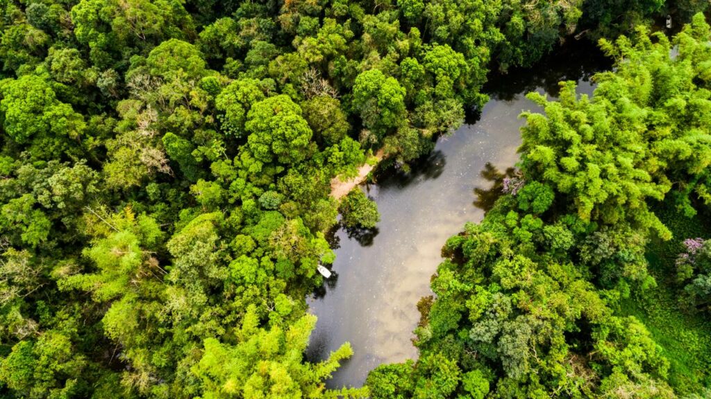 Descoberta de cerâmica na Amazônia que pode reescrever milênios de história