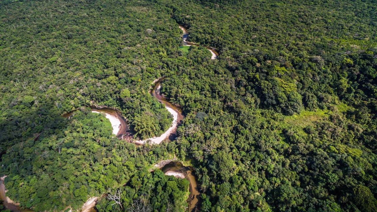 Arqueólogos localizam ruínas de civilização perdida na Amazônia