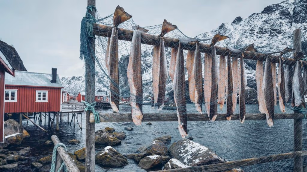Este peixe nada 1.000 km no gelo e vira ouro de 150 dólares
