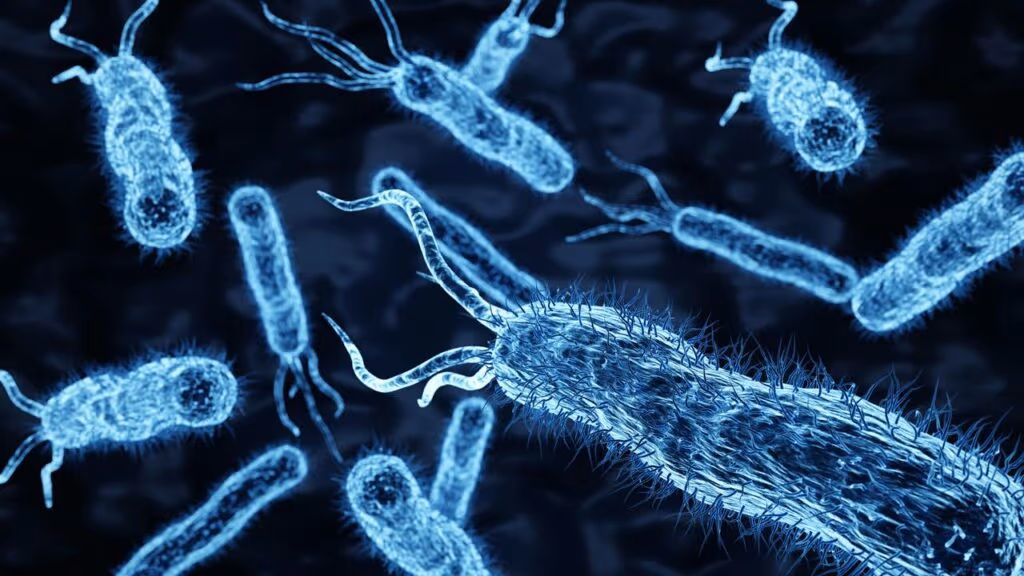 Bactéria “zumbi” da Nasa desafia a esterilização extrema