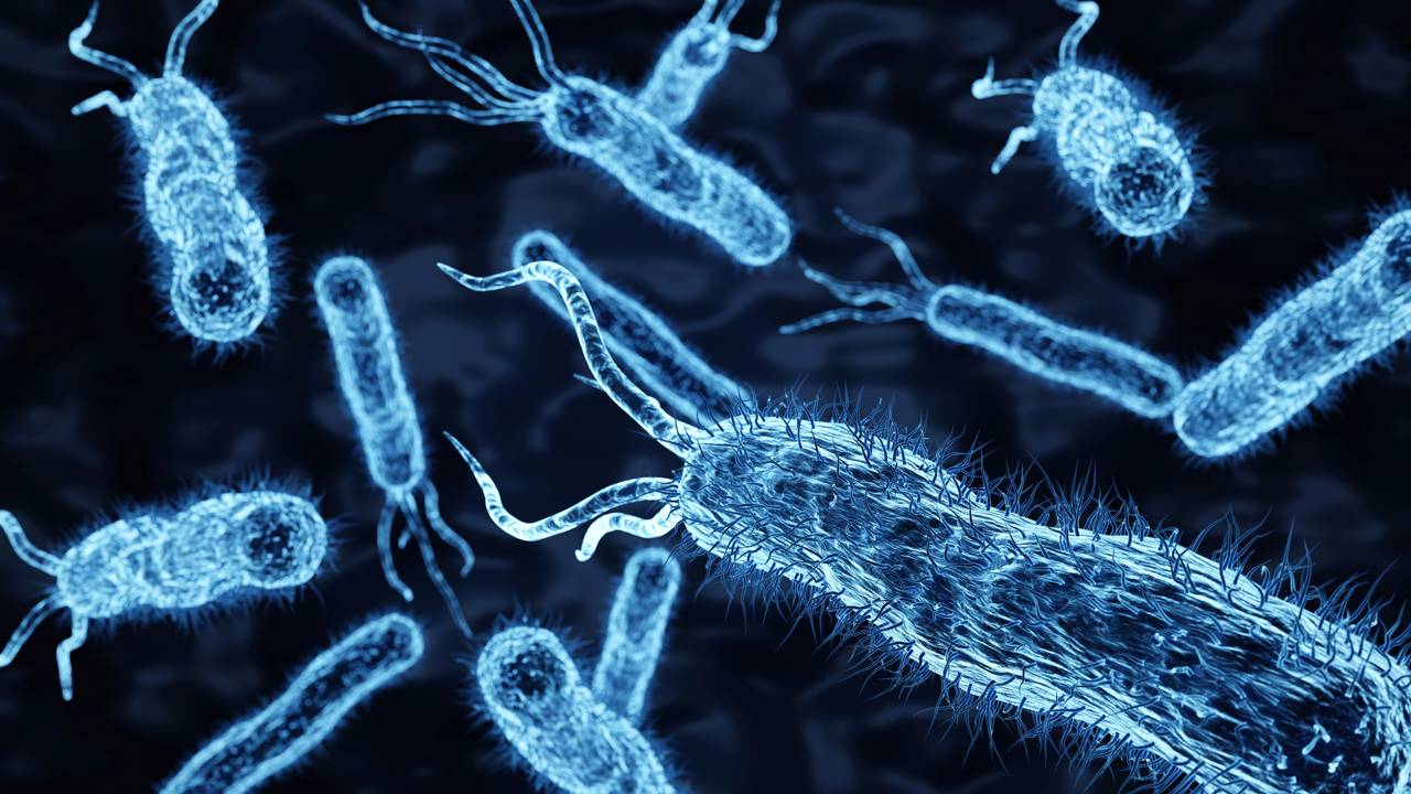 Bactéria "zumbi" da Nasa desafia a esterilização extrema