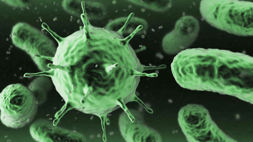 Cientistas revelam bactéria que transforma CO2 em oxigênio em laboratório