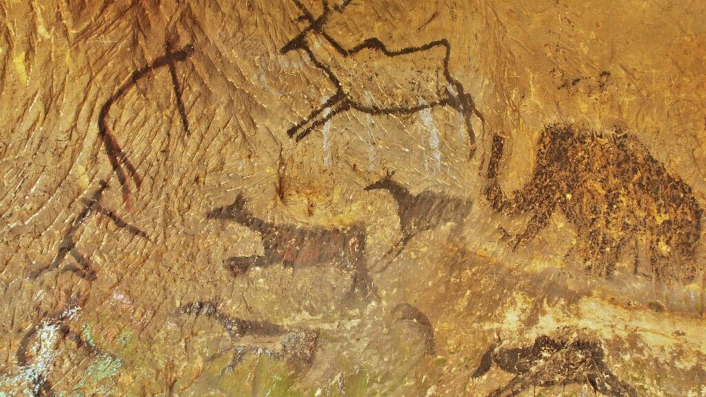 Veneno ancestral de 60.000 anos pode explicar métodos dos caçadores