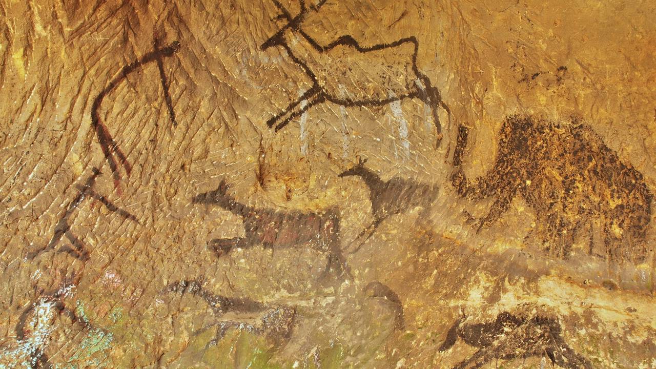 Veneno ancestral de 60.000 anos pode explica métodos dos caçadores
