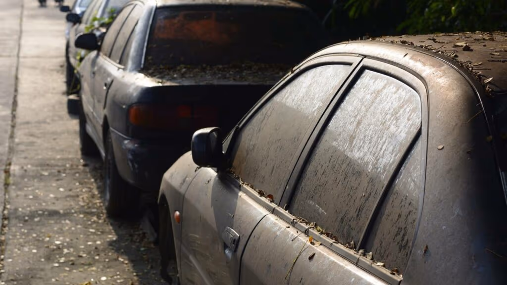 A surpreendente mansão abandonada com 40 carros esquecidos