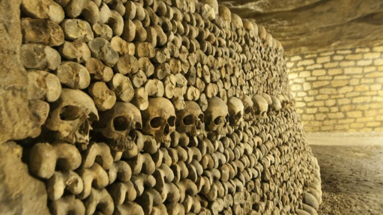 Imagem Item