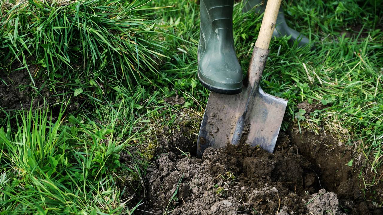 Ele cavou uma poça no quintal e o que apareceu deixou todo mundo de boca aberta