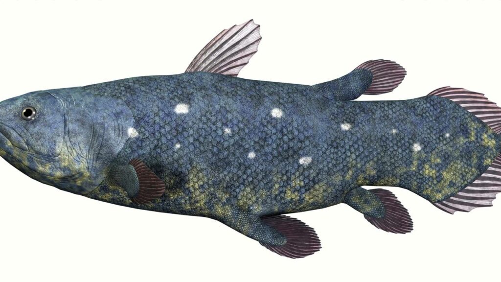 Eles passaram a lua de mel com um "dinossauro vivo"