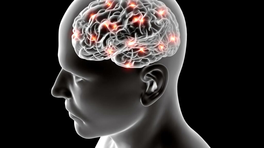 Cientistas pedem que nos preparemos para o que está pois vai afetar o país inteiro Duas áreas do cérebro trabalham juntas como uma ampulheta