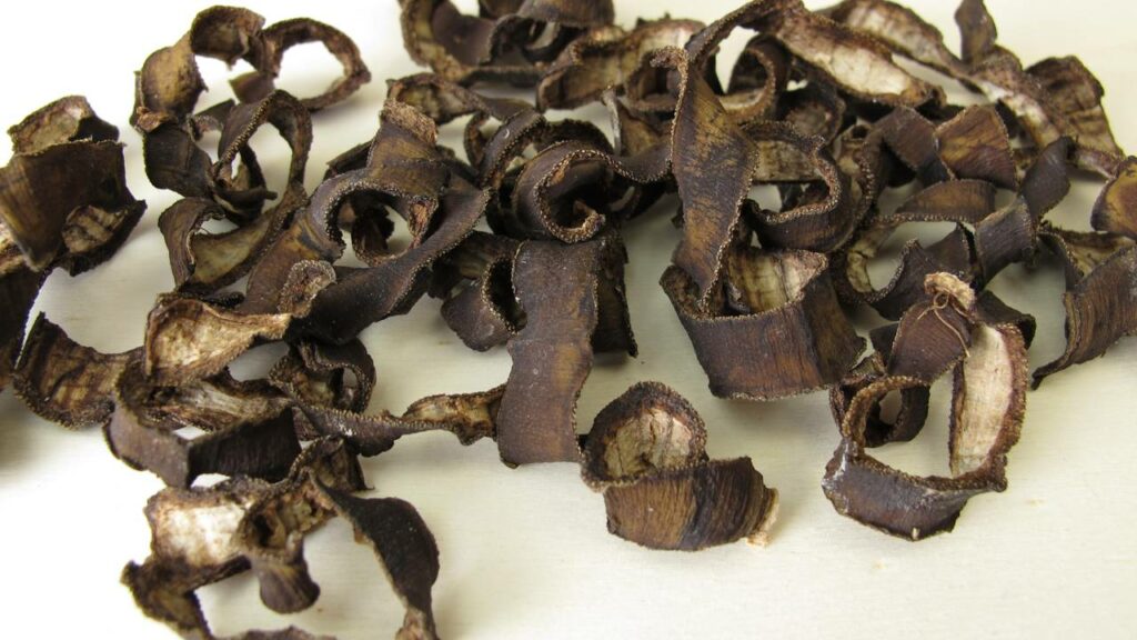 Ferver casca de banana com canela, o motivo inusitado por trás da nova moda caseira