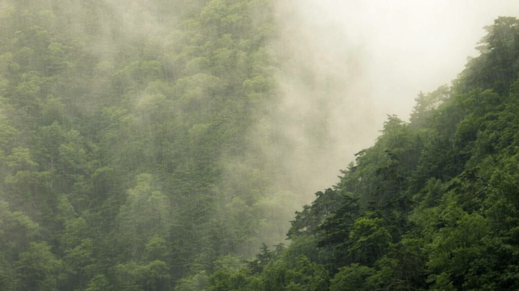 Choveu sem parar durante 2 milhões de anos e mudou tudo na Terra