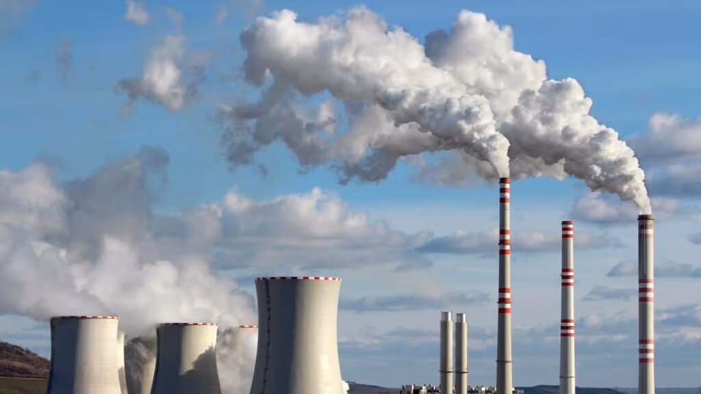 Cientistas revelam bactéria que transforma CO2 em oxigênio em laboratório