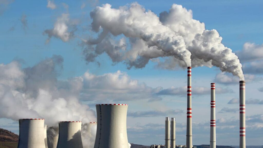 Cientistas revelam bactéria que transforma CO2 em oxigênio em laboratório