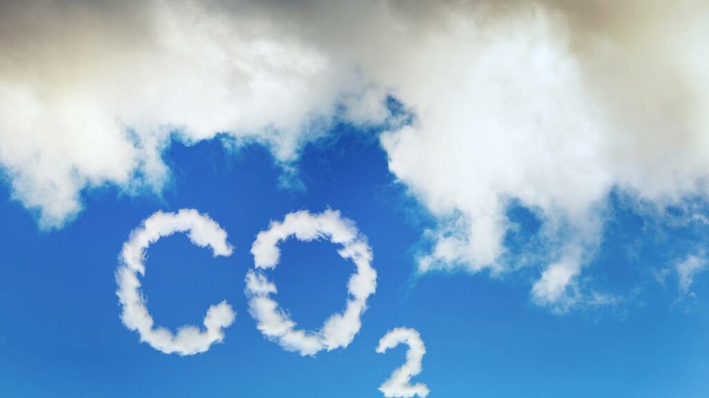 Cientistas revelam bactéria que transforma CO2 em oxigênio em laboratório