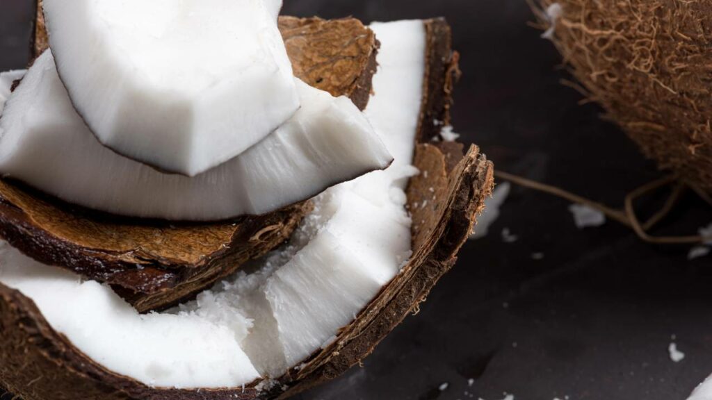 Jovem transforma lixo de coco em combustível que salva árvores