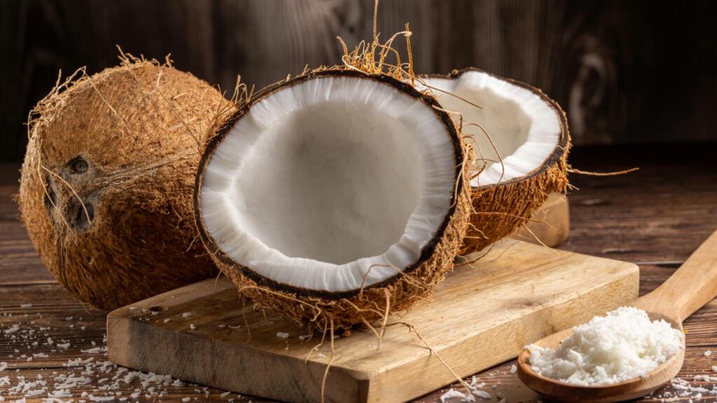 Jovem transforma lixo de coco em combustível que salva árvores