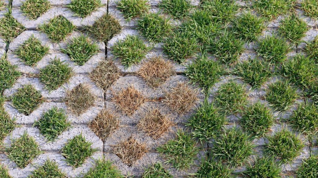 O melhor tipo de piso para garagem que evita alagamento e economiza dinheiro