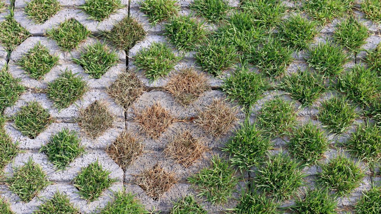 O melhor tipo de piso para garagem que evita alagamento e economiza dinheiro