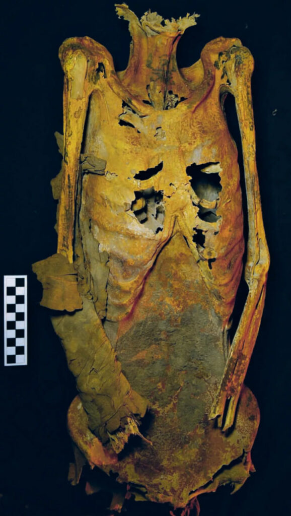 Cientistas ficam maravilhados ao descobrirem múmia egípcia com tatuagens de 3.000 anos