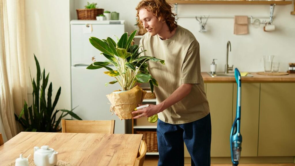 Conversar com plantas parece bobo, mas funciona para muitas pessoas - Créditos: depositphotos.com / HayDmitriy