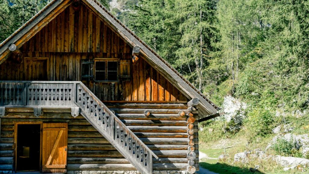 Homem passa 30 dias construindo casa de pedra e madeira na floresta