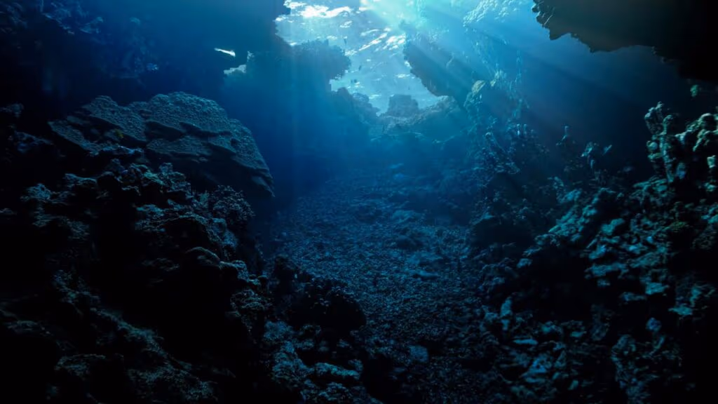 As misteriosas “serpentes do mar” gigantes do Paraná